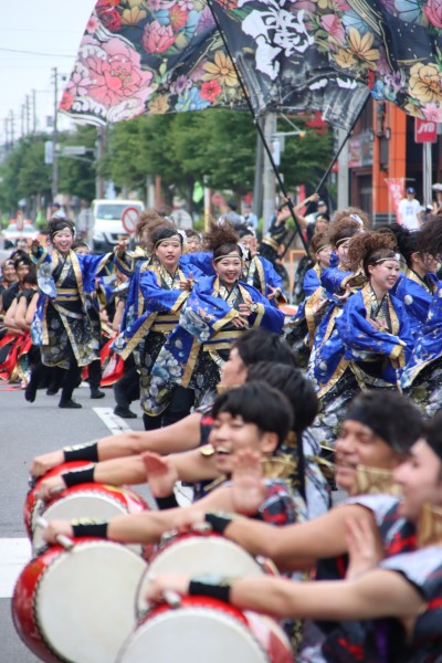 ＹＯＳＡＫＯＩソーラン