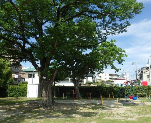 中島公園（２）