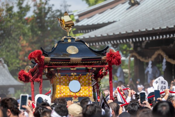 焼津神社大祭 荒祭（2025年版焼津カレンダー8月）