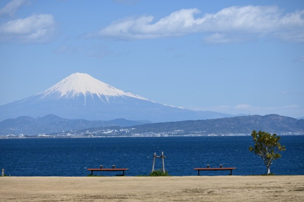 石津海岸公園13