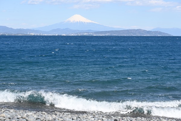 石津海岸公園15