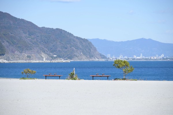 石津海岸公園19