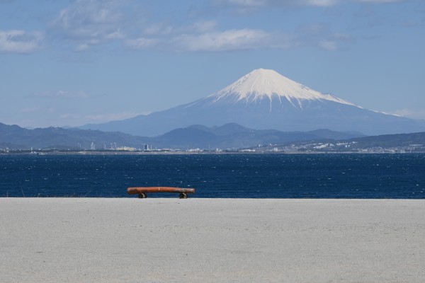 石津海岸公園20