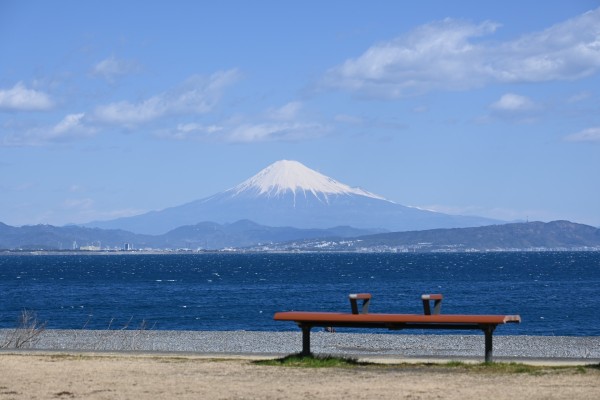 石津海岸公園14