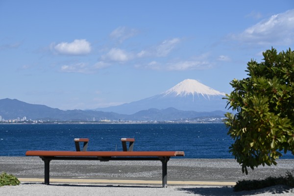 石津海岸公園16