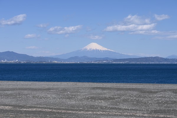 石津海岸公園12