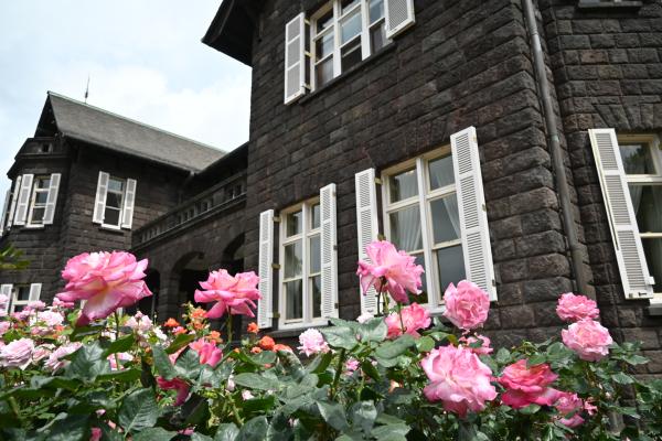 春バラ33