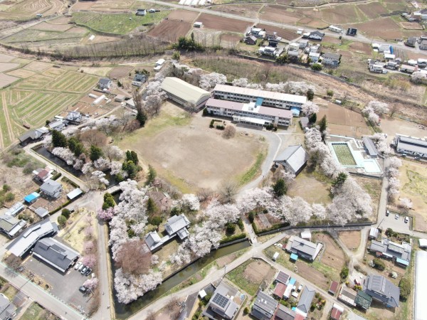 龍岡城五稜郭　桜　(令和8年)