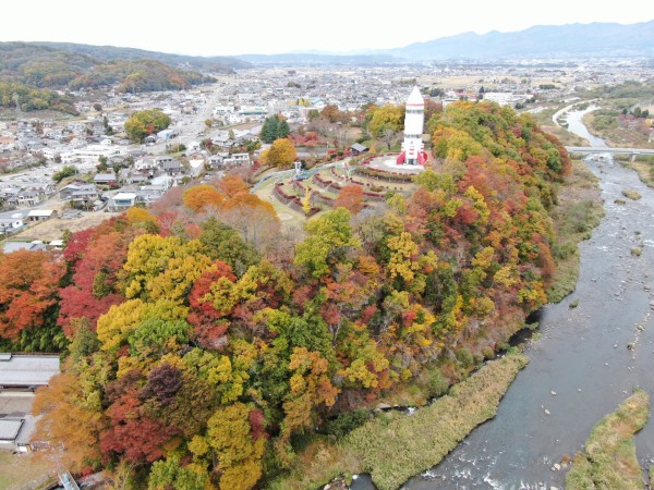 コスモタワー　紅葉　(令和7年)