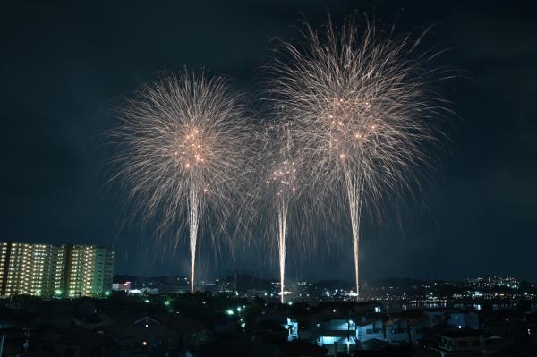 桜まつりサマーブロッサムナイトin狭山池2026（市役所屋上から撮影）