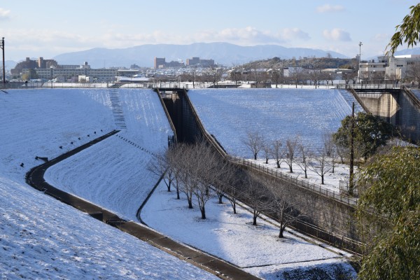 雪景色の狭山池