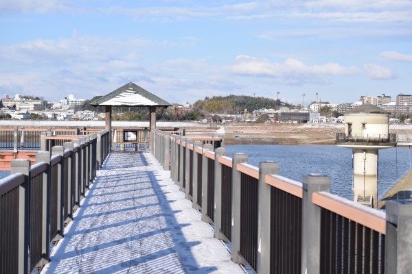 雪景色の狭山池通路橋
