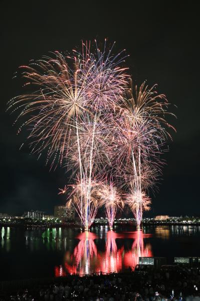 桜まつりサマーブロッサムナイトin狭山池2026（土地改良区から撮影）