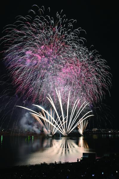 桜まつりサマーブロッサムナイトin狭山池2026（土地改良区から撮影）