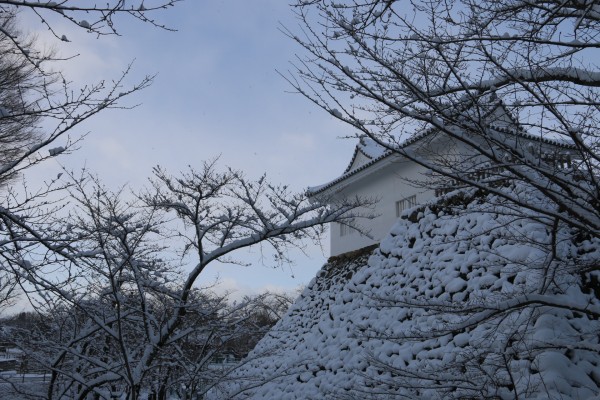 亀山城（雪）