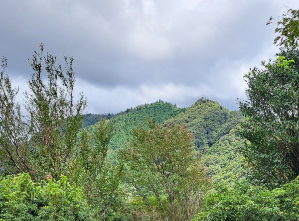 四方草山（亀山7座）