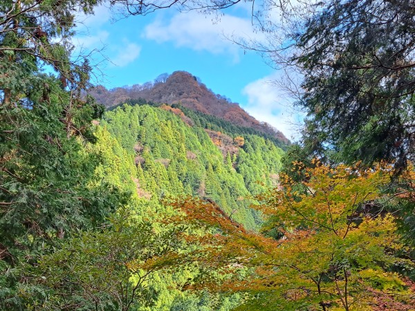 錫杖ヶ岳（亀山7座）