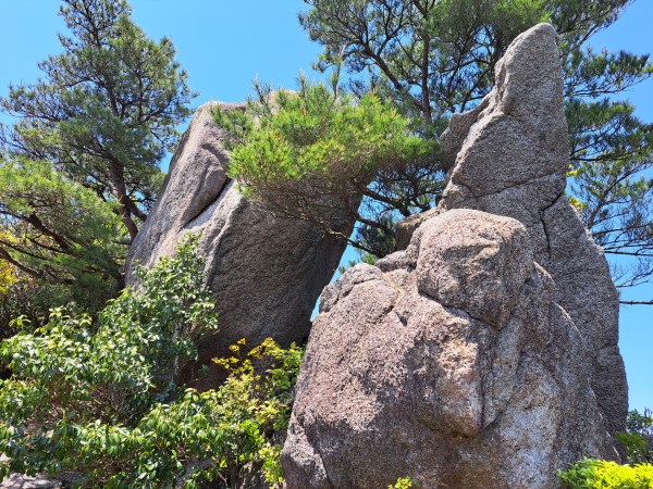 臼岩・杵岩（臼杵ヶ岳）